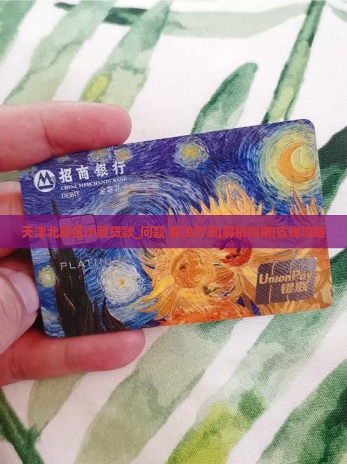 天津北辰区小额贷款