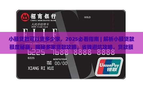 小额贷款可以贷多少家