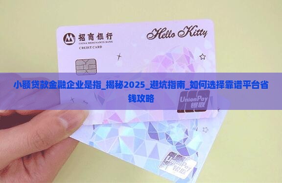 小额贷款金融企业是指