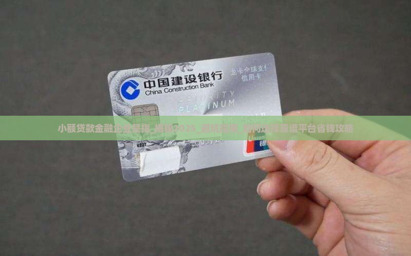 小额贷款金融企业是指