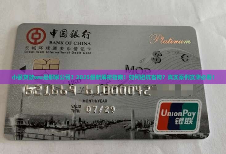 小额贷款wu是那家公司