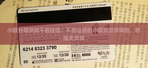 小额分期贷款不看征信