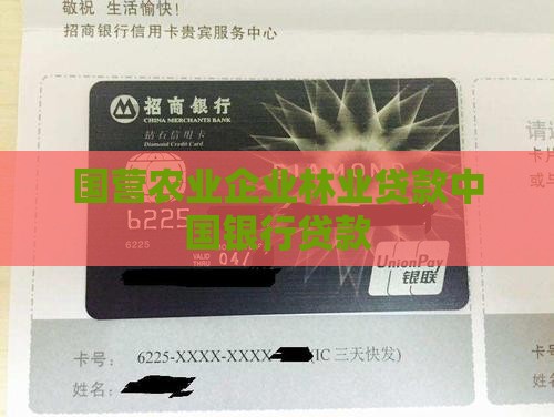 农林投公司贷款