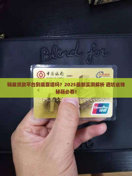 嗨森贷款平台