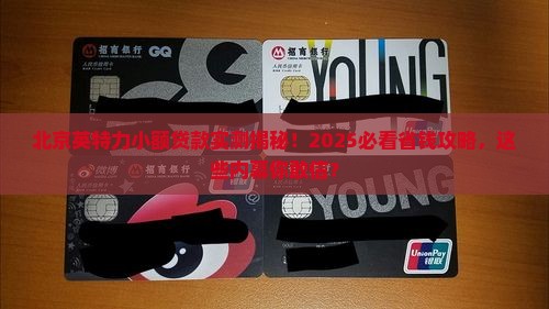 北京英特力小额贷款
