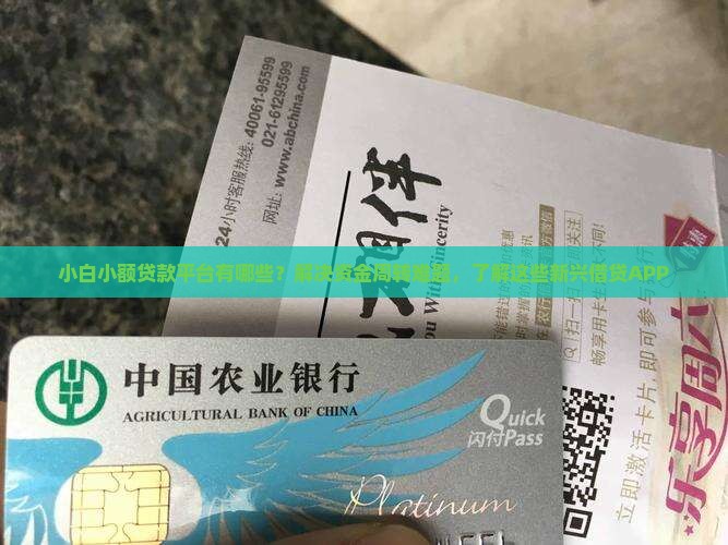 小白小额贷款平台有哪些