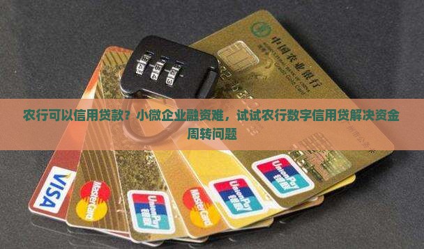 农行可以信用贷款