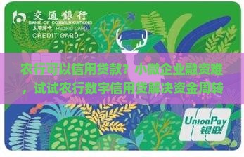 农行可以信用贷款