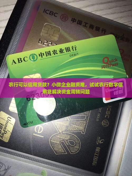 农行可以信用贷款