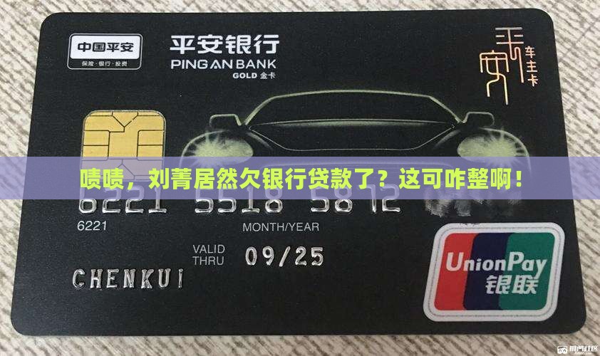 刘菁欠银行贷款