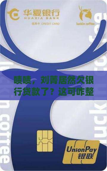 刘菁欠银行贷款