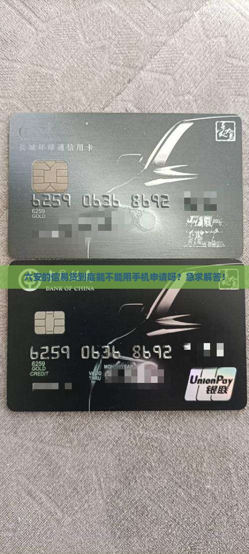 六安市信易贷用手机能贷款吗