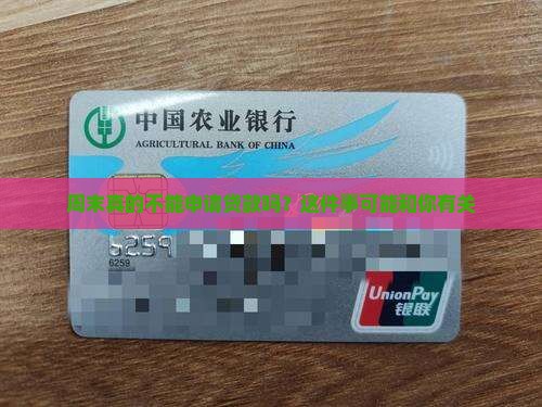 周末手机放不了贷款吗