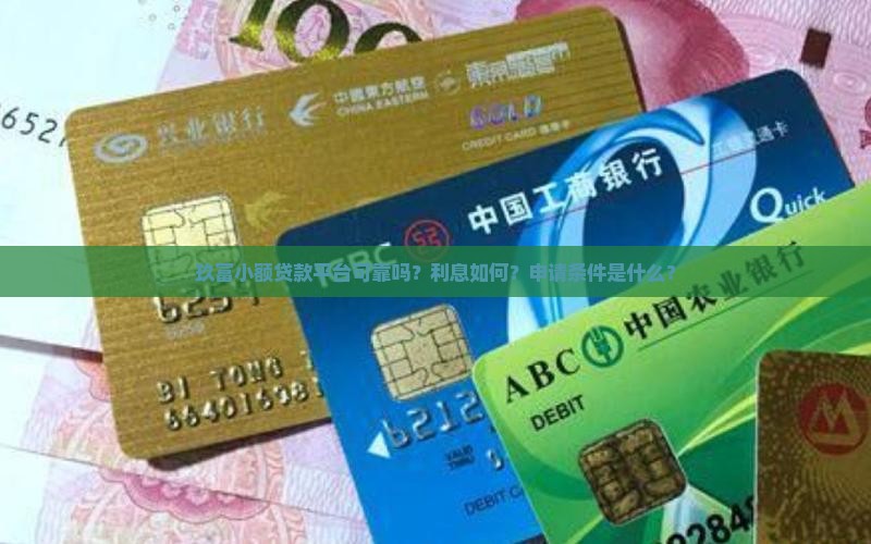小额贷款平台玖富