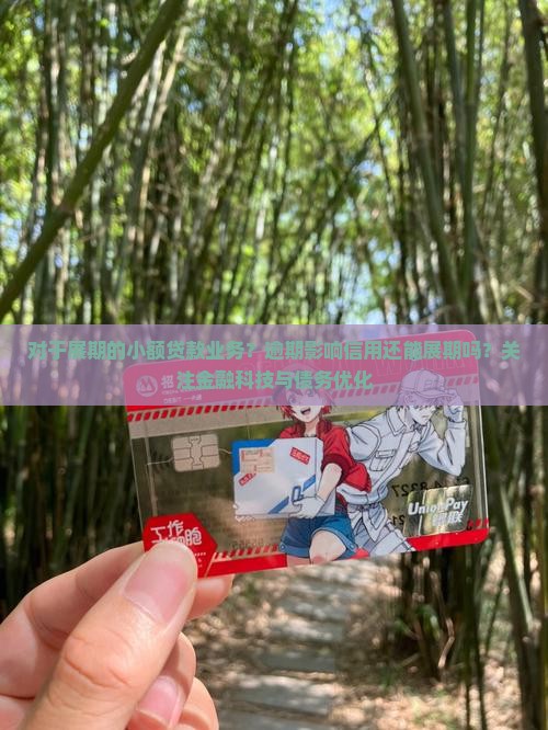 对于展期的小额贷款业务