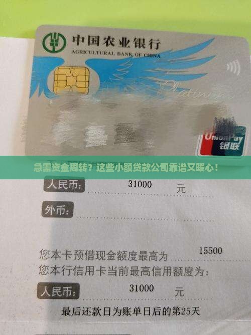 可以贷款的小额公司