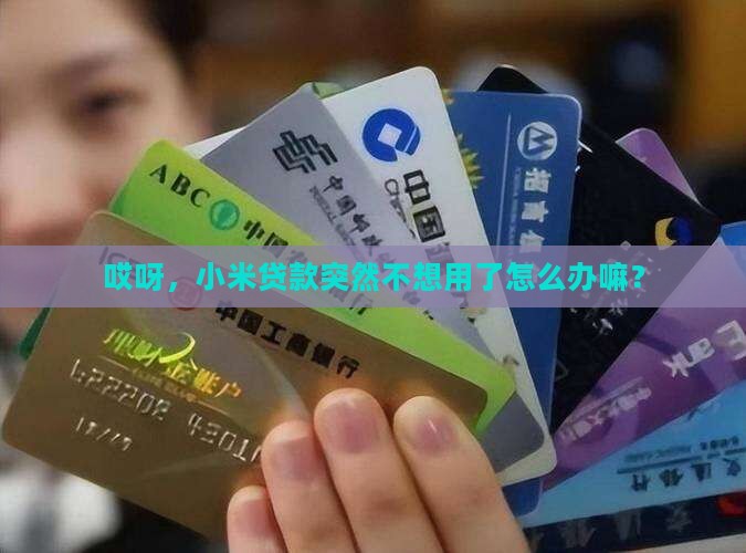 小米贷款不用了怎么办