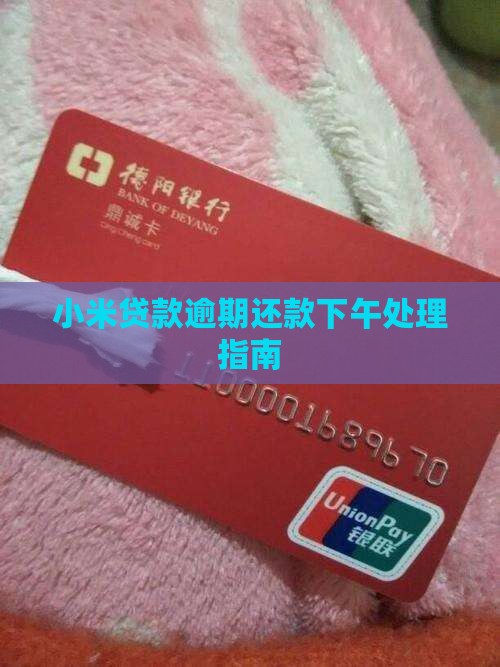 小米贷款下午还可以吗