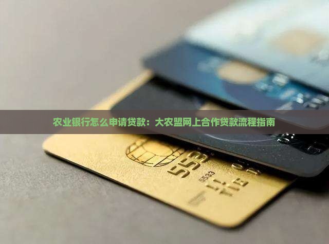 大农盟如何网上合作贷款