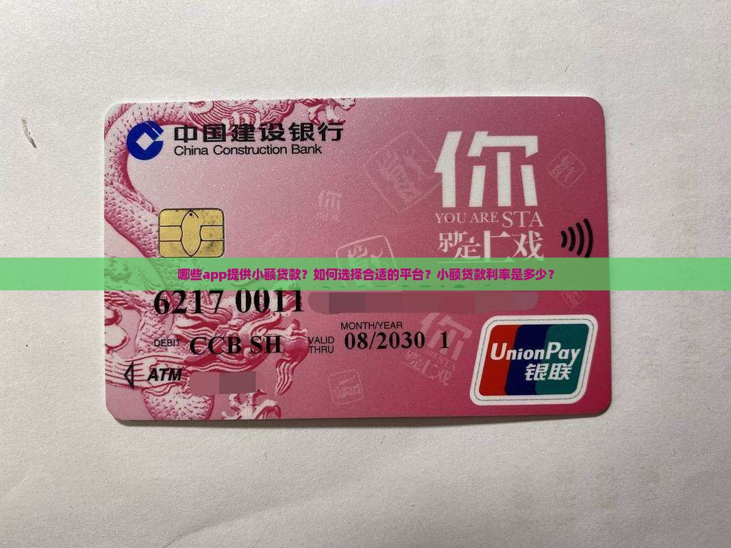 各个app小额贷款平台