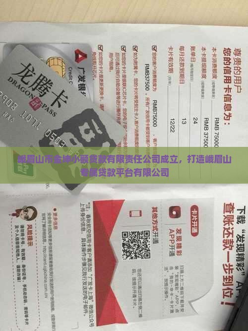 峨眉贷款平台