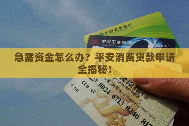 平安消费贷款申请流程