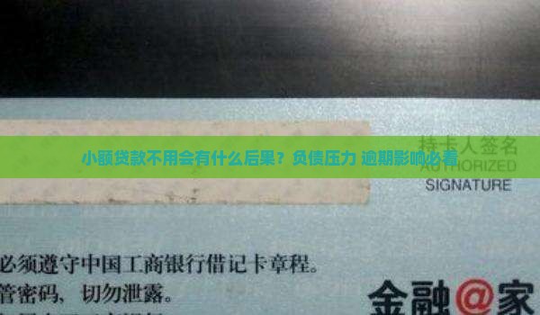 小额贷款不用有什么后果