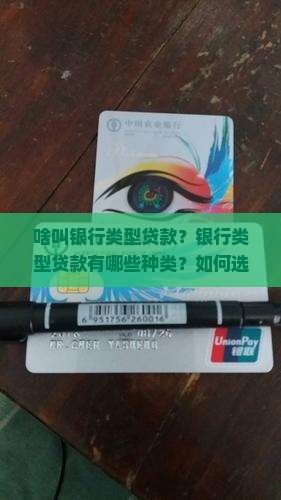 啥叫银行类型贷款