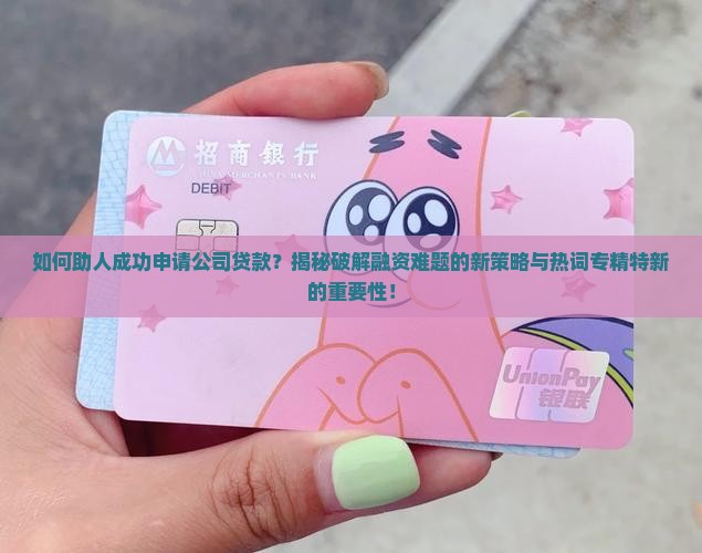 帮人打公司贷款
