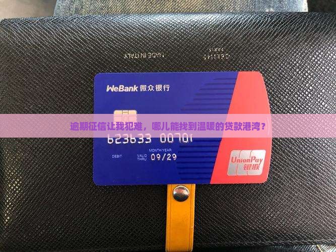 征信有逾期去哪里能贷款
