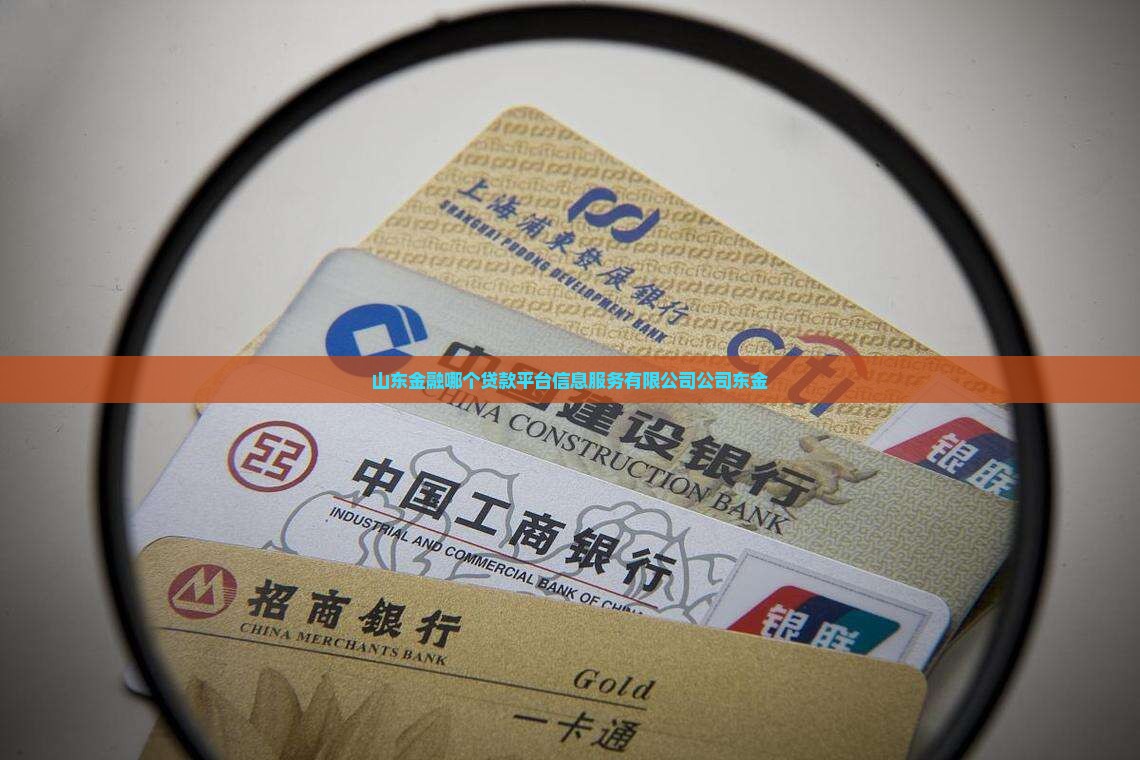 山东金融是哪个贷款平台