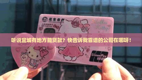 宜城哪里可以贷款的公司