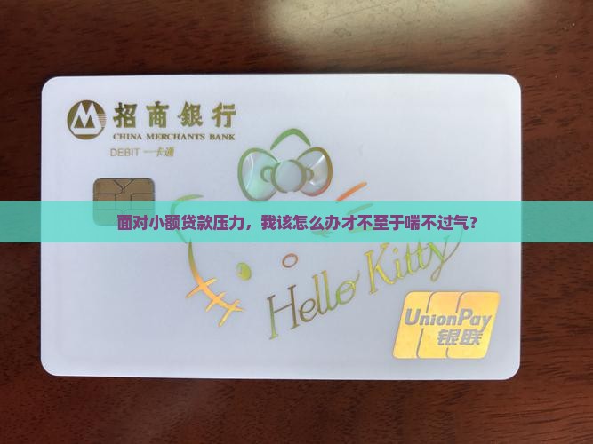 小贷还不起贷款怎么办