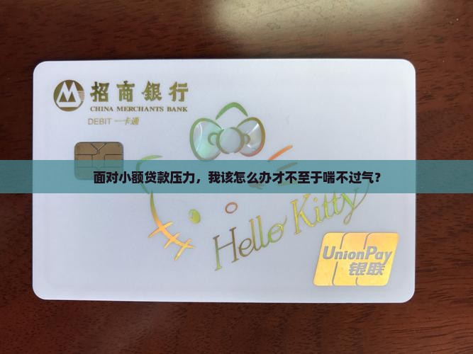 小贷还不起贷款怎么办