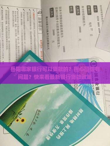 岳阳哪家银行可以贷款的