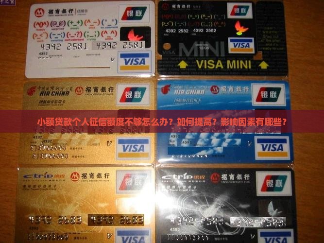 小额贷款个人征信额度 小额贷款个人征信额度