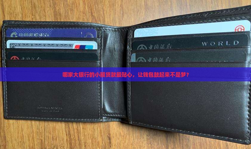 哪些大银行有小额贷款