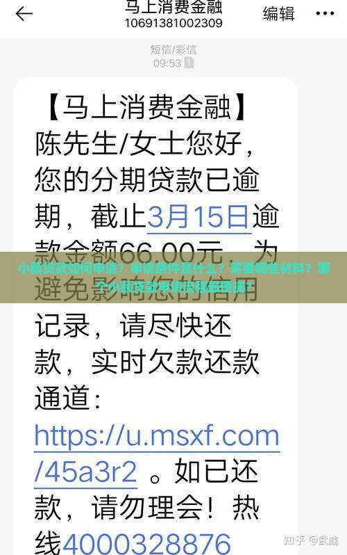小额贷款怎办