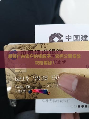 广东农担公司贷款流程