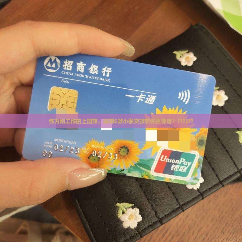 小额贷款用哪款软件好