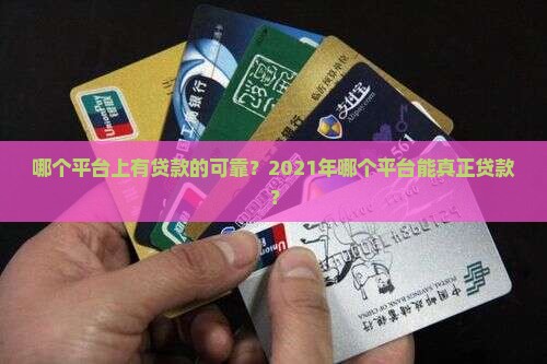 哪个平台上有贷款的