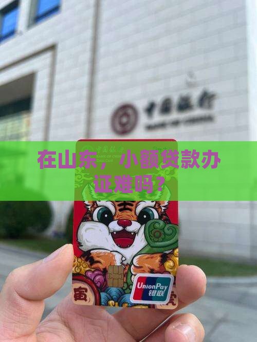 山东小额贷款办证