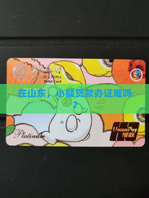 山东小额贷款办证