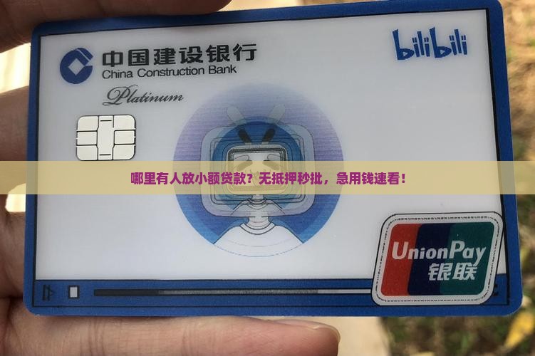 哪里有人放小额贷款
