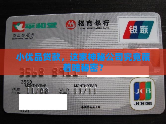 小优品贷款是什么公司
