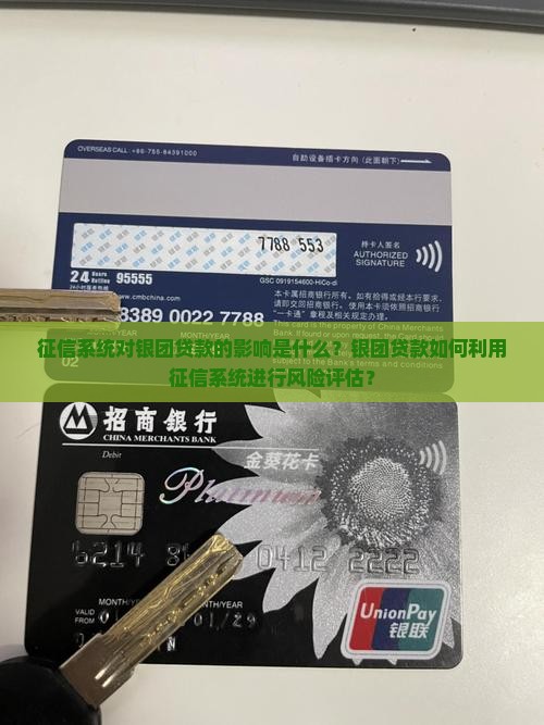 征信系统银团贷款