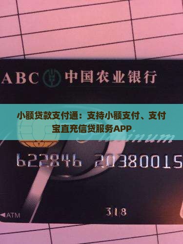 小额贷款支付通