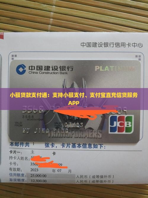 小额贷款支付通