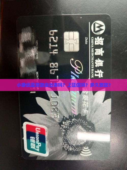 小象优品贷款会出来吗