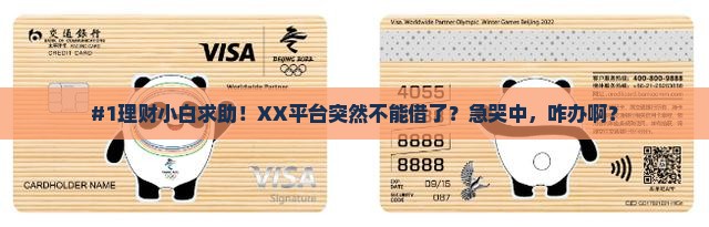 各大平台停止贷款了吗